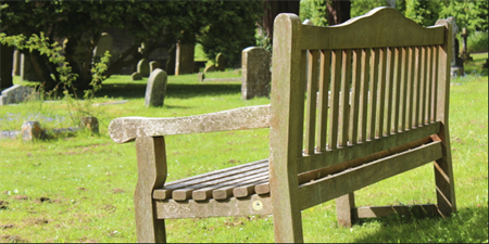 The Bench The Bench