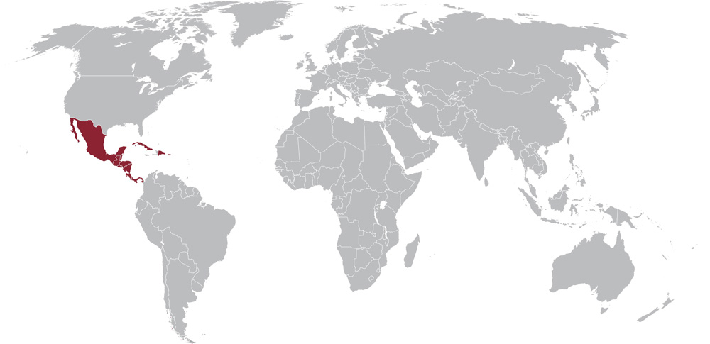 worldmap-latinamericanorth